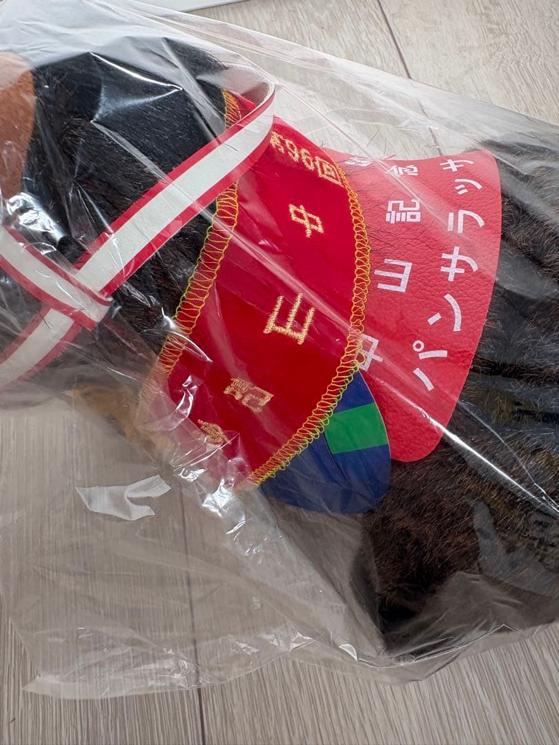 第90回中山記念　パンサラッサ