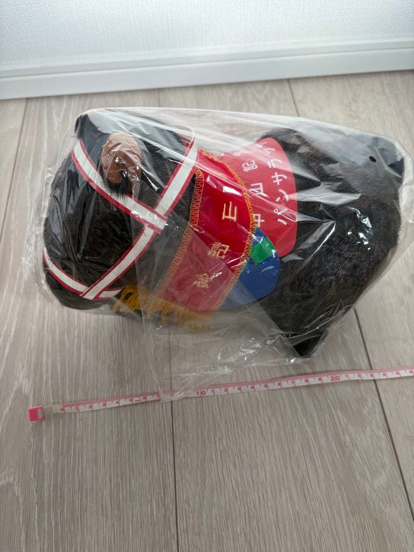 第90回中山記念　パンサラッサ