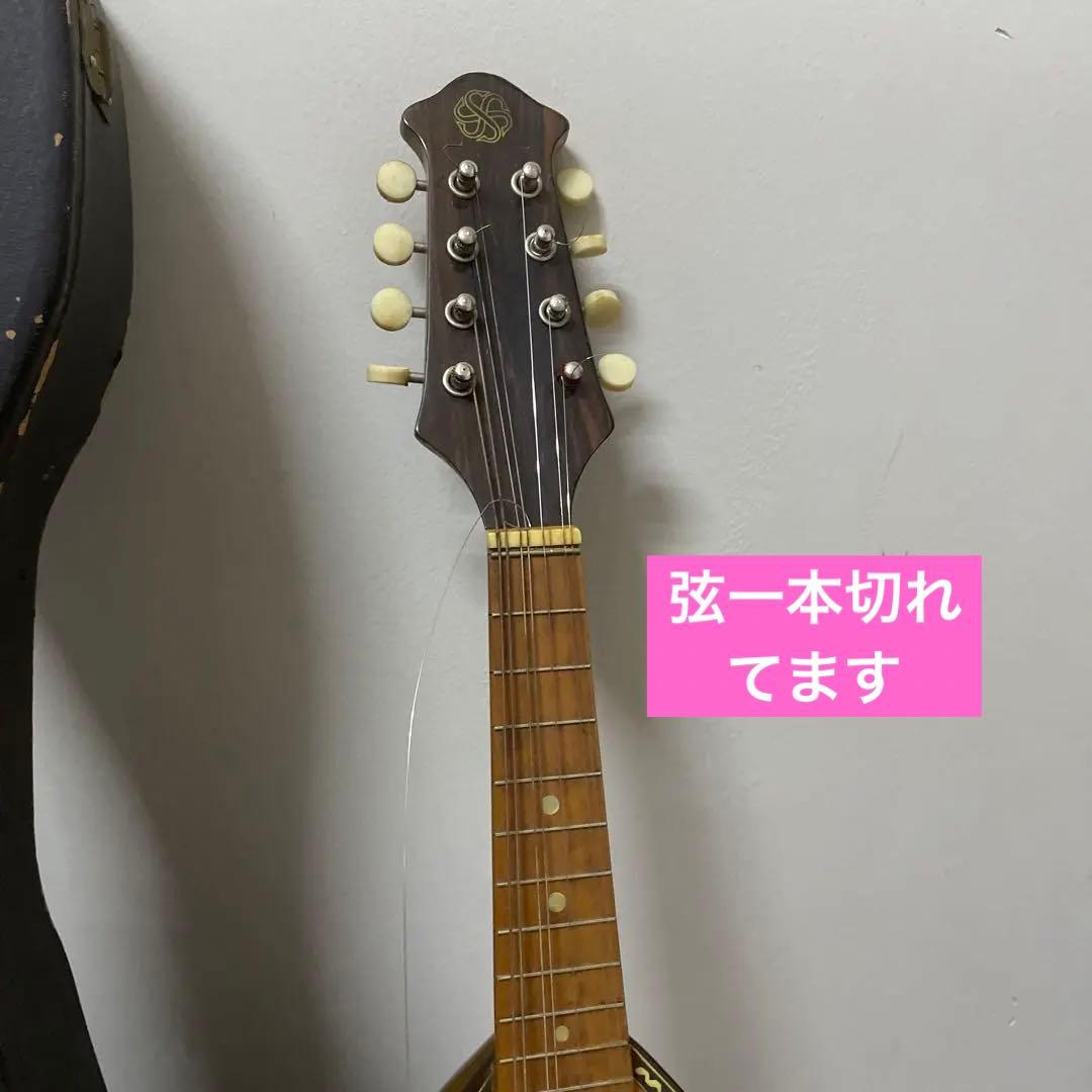 SuzukiマンドリンCO.,LTD