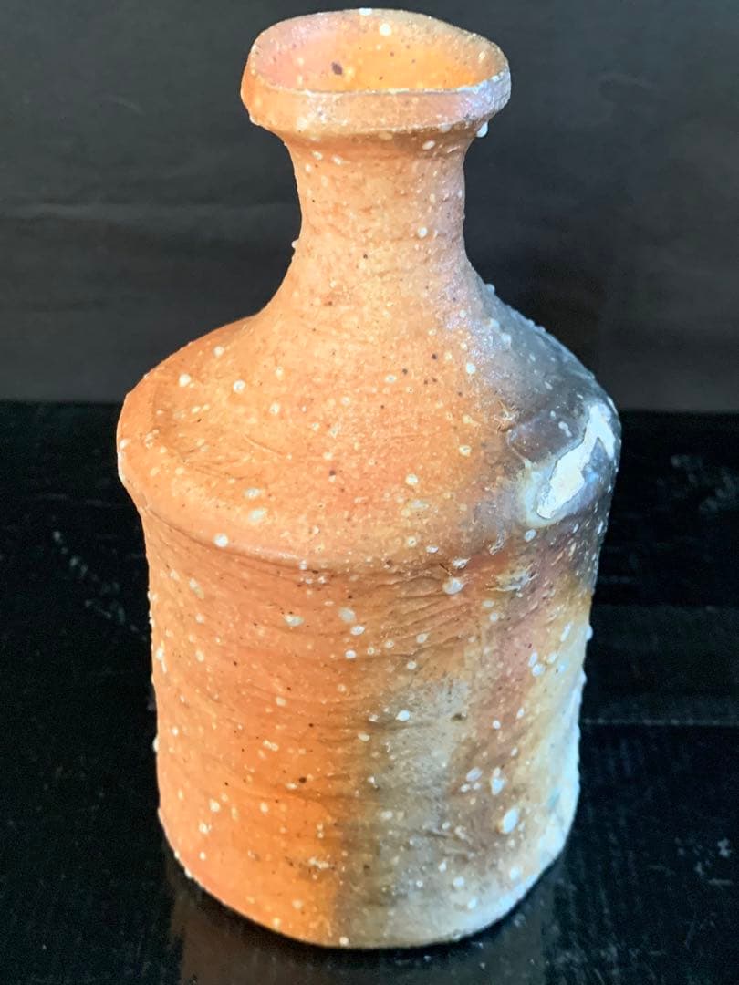 辻村史朗　信楽徳利