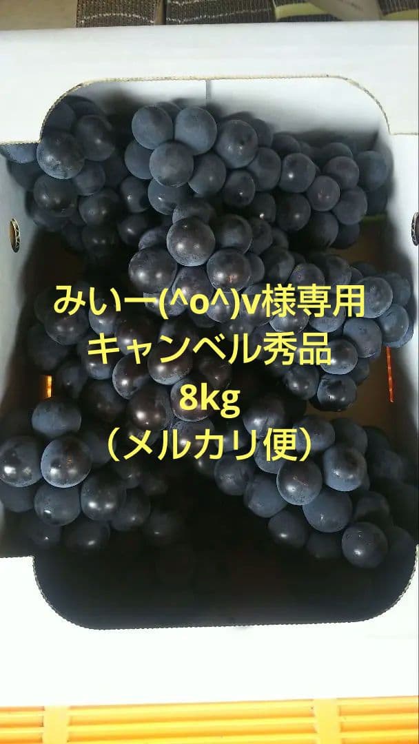 みいー(^o^)vキャンベル　秀品　8kg