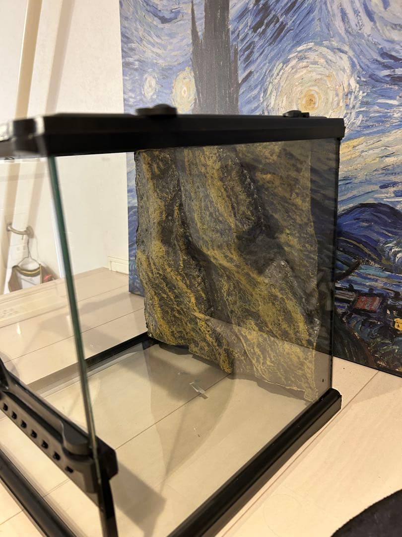 エキゾテラ グラステラリウム 3030、ヒーターマット付き