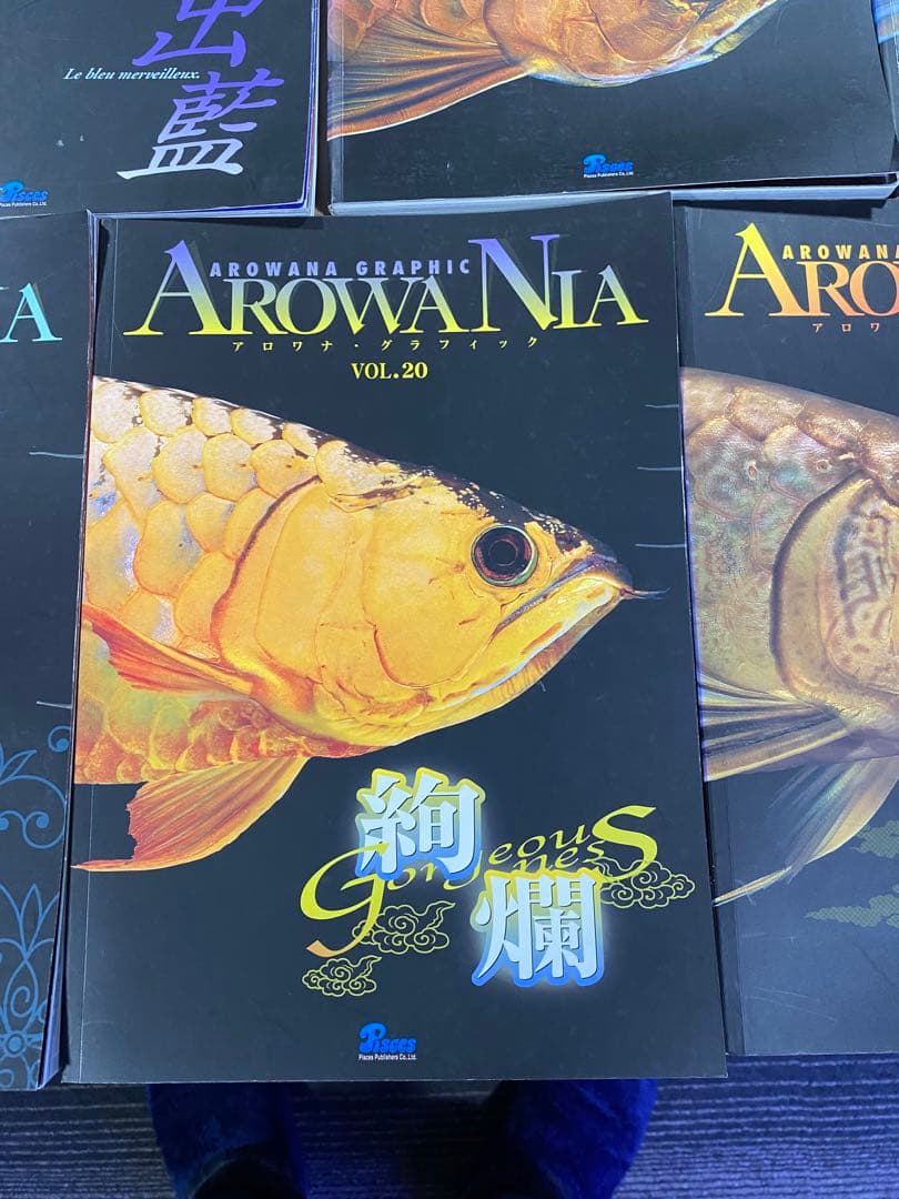 アロアナグラフィック　各種