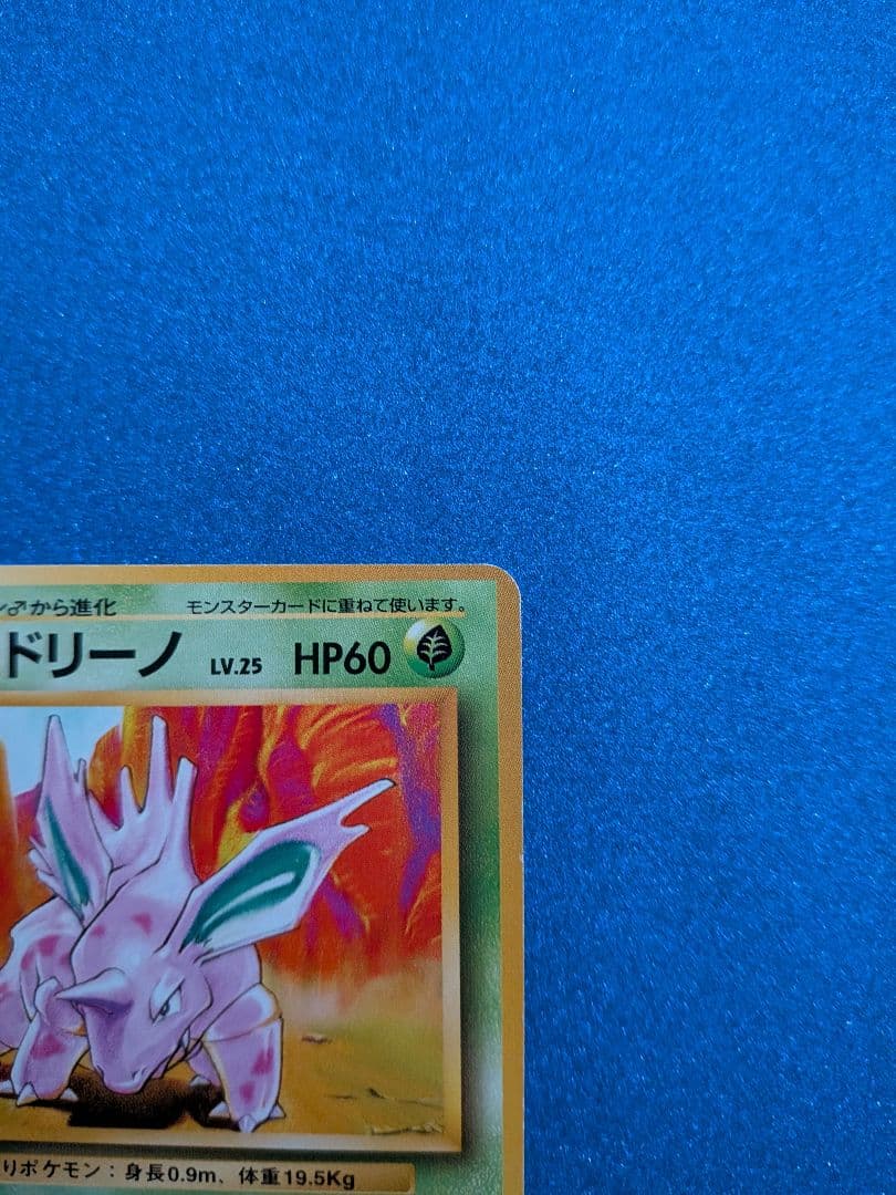 ニドリーノ ポケモンカード HP60　旧裏