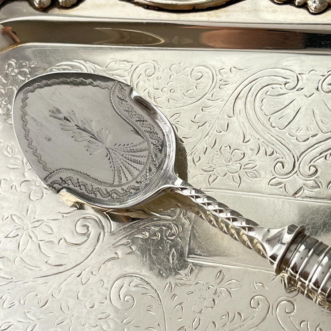 【英国】【白蝶貝】クリームスプーン　マザーオブパール 小型サーバー