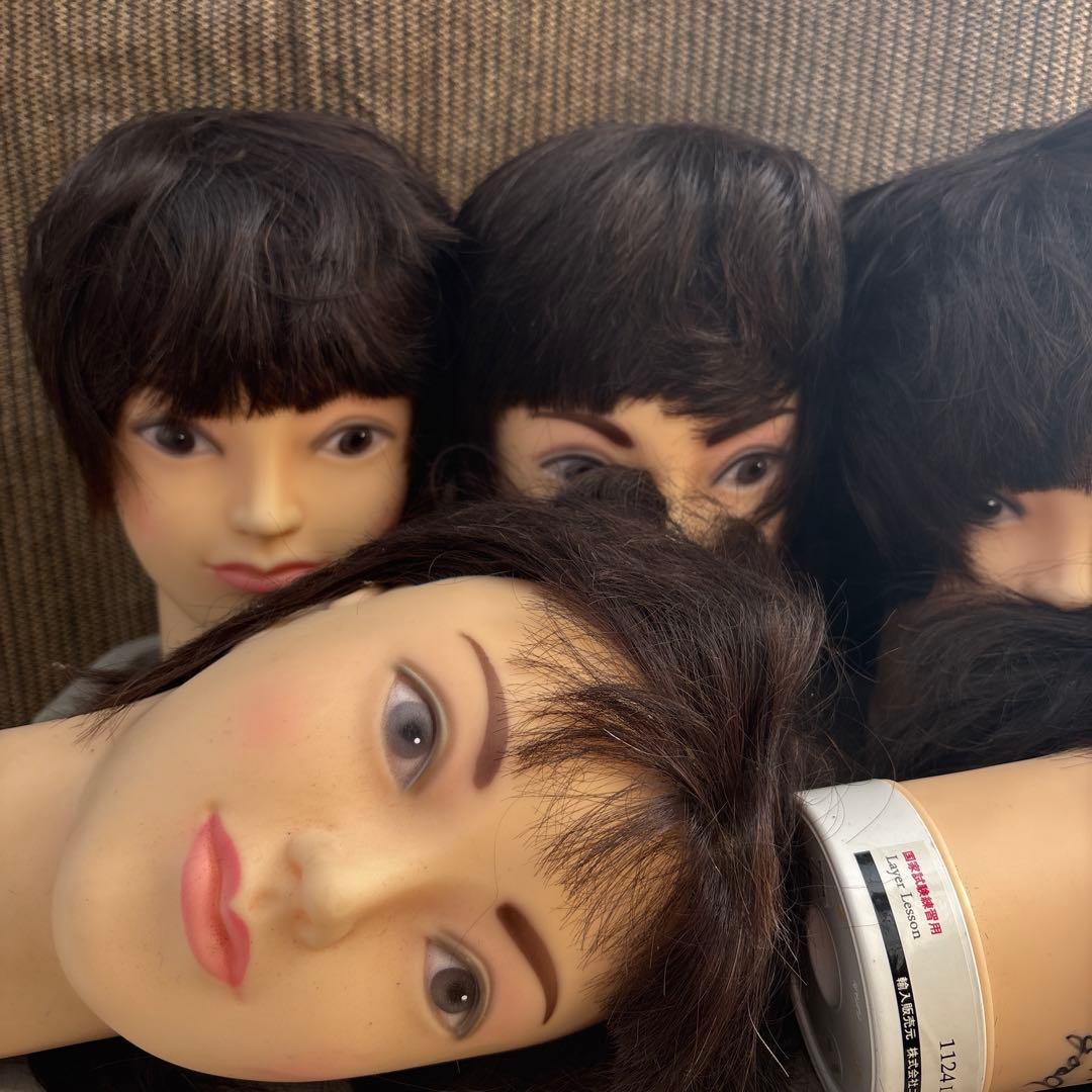 ユーカリージャパン　カットウィッグ国家試験練習用10個セット　値下げあり