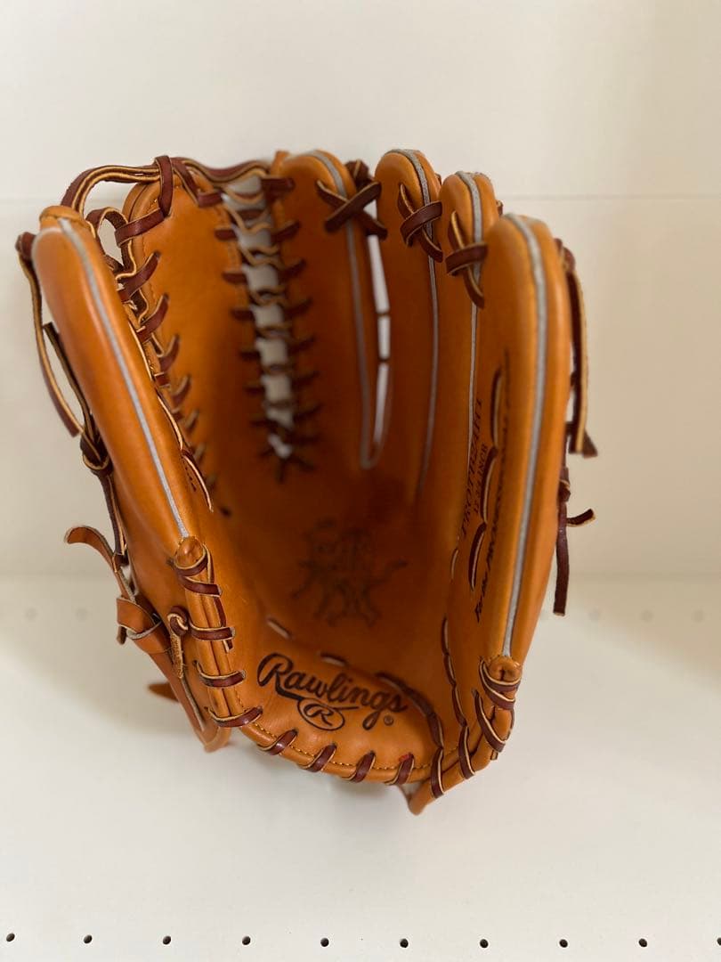 ローリングス 硬式グローブ PROTB24HT