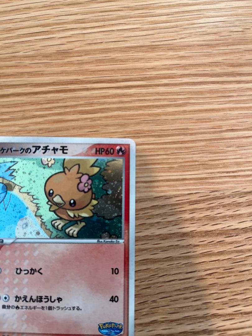 アチャモ(ポケパーク)