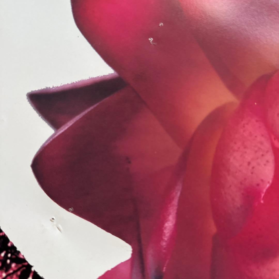 BUCK-TICK ポスター 4枚