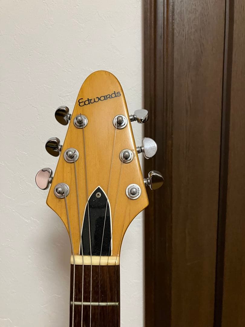 Edwards マローダータイプ　改造