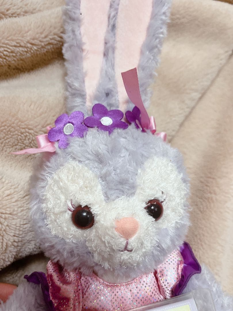 香港ディズニー ステラルー バレンタイン