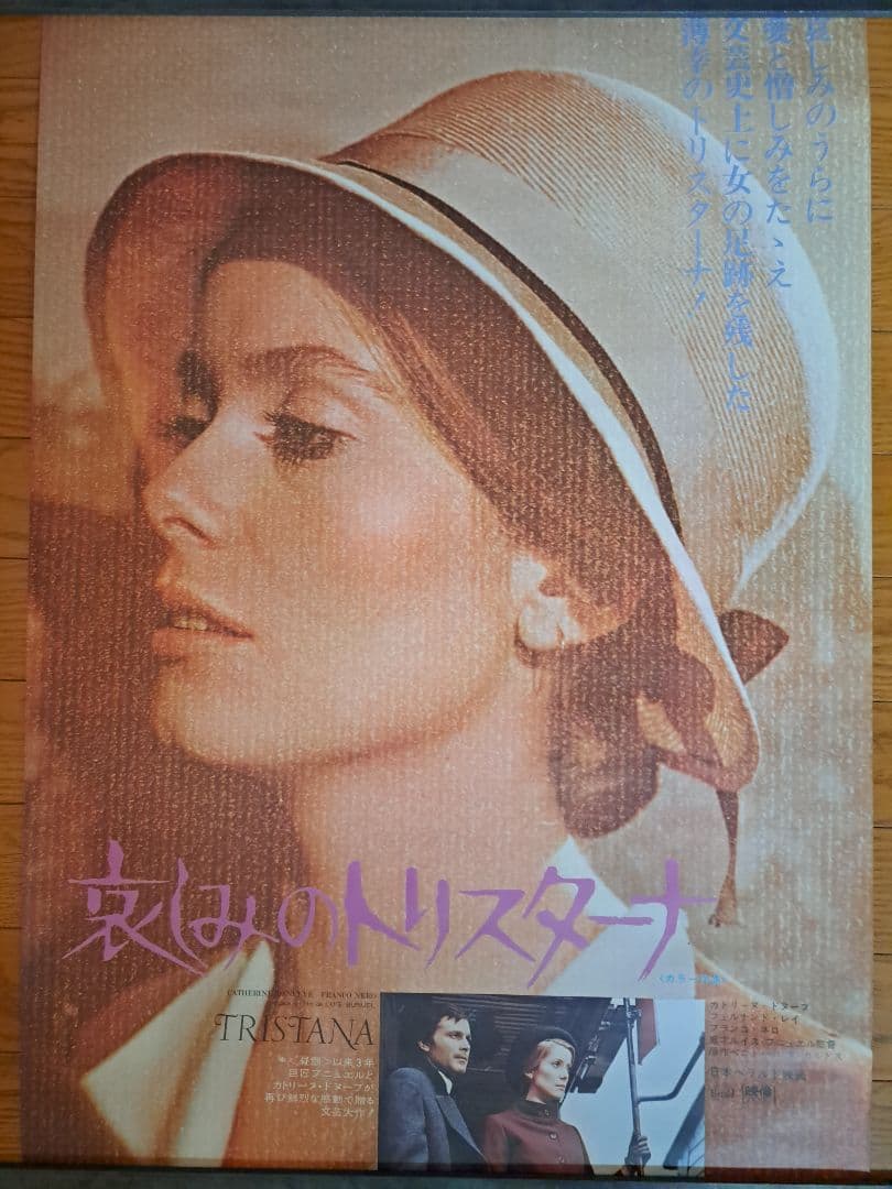 ベニスに死す、太陽がいっぱい、悲しみの青春　他ポスター10枚