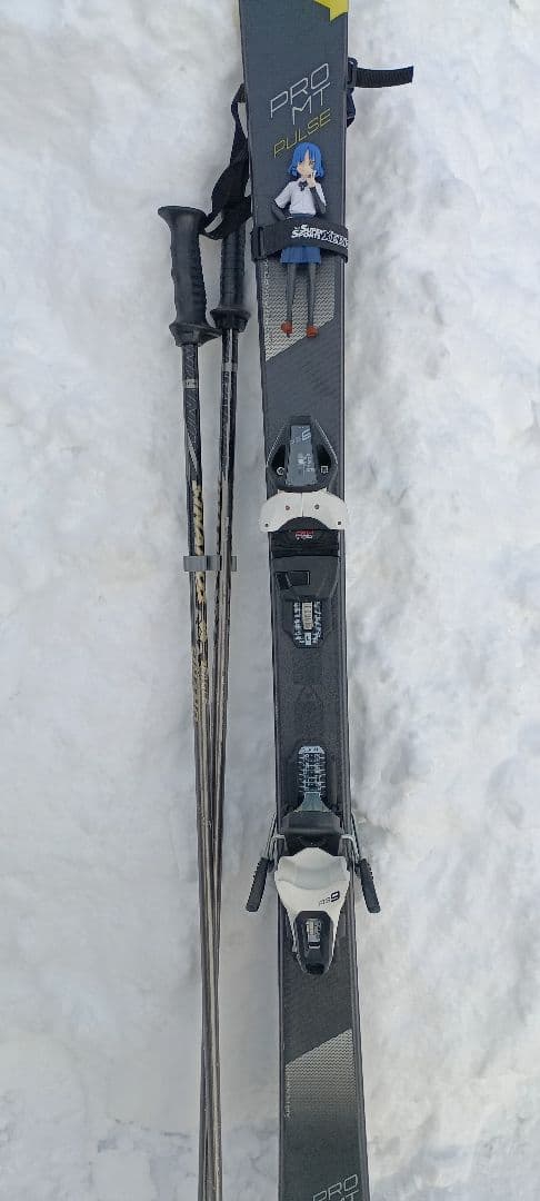 FISCHER PRO MT PULSE 165cm RS9 板　 引き取り限定