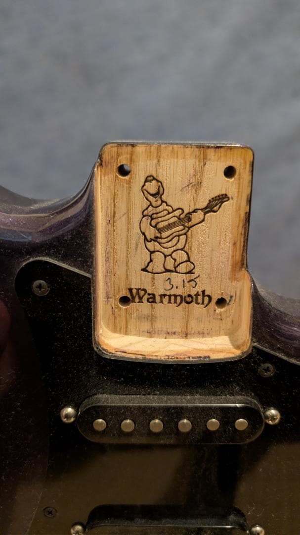 ギター Warmoth(body) stratocaster