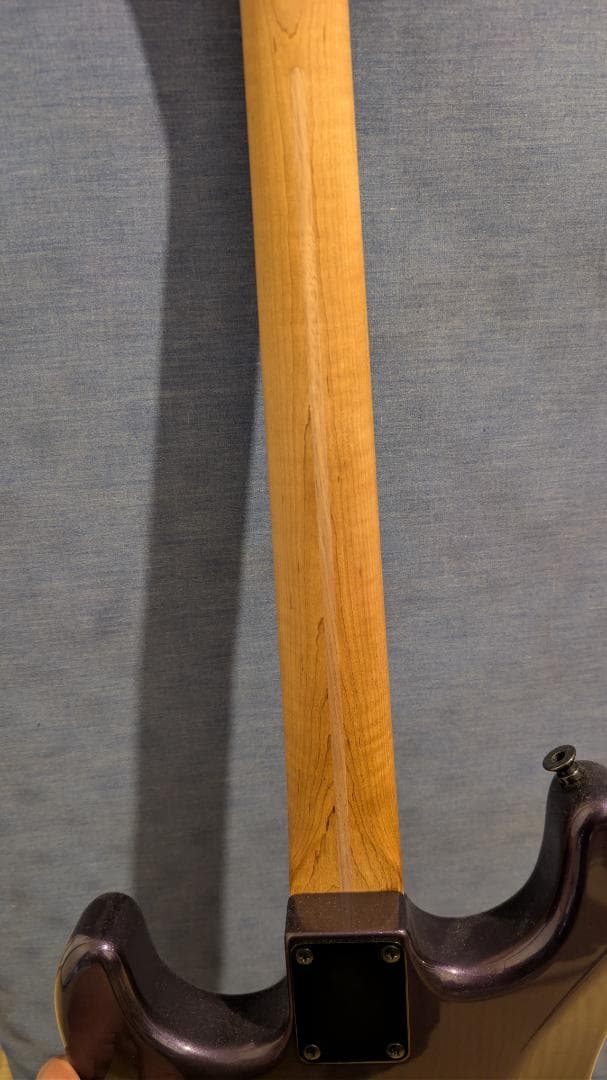 ギター Warmoth(body) stratocaster