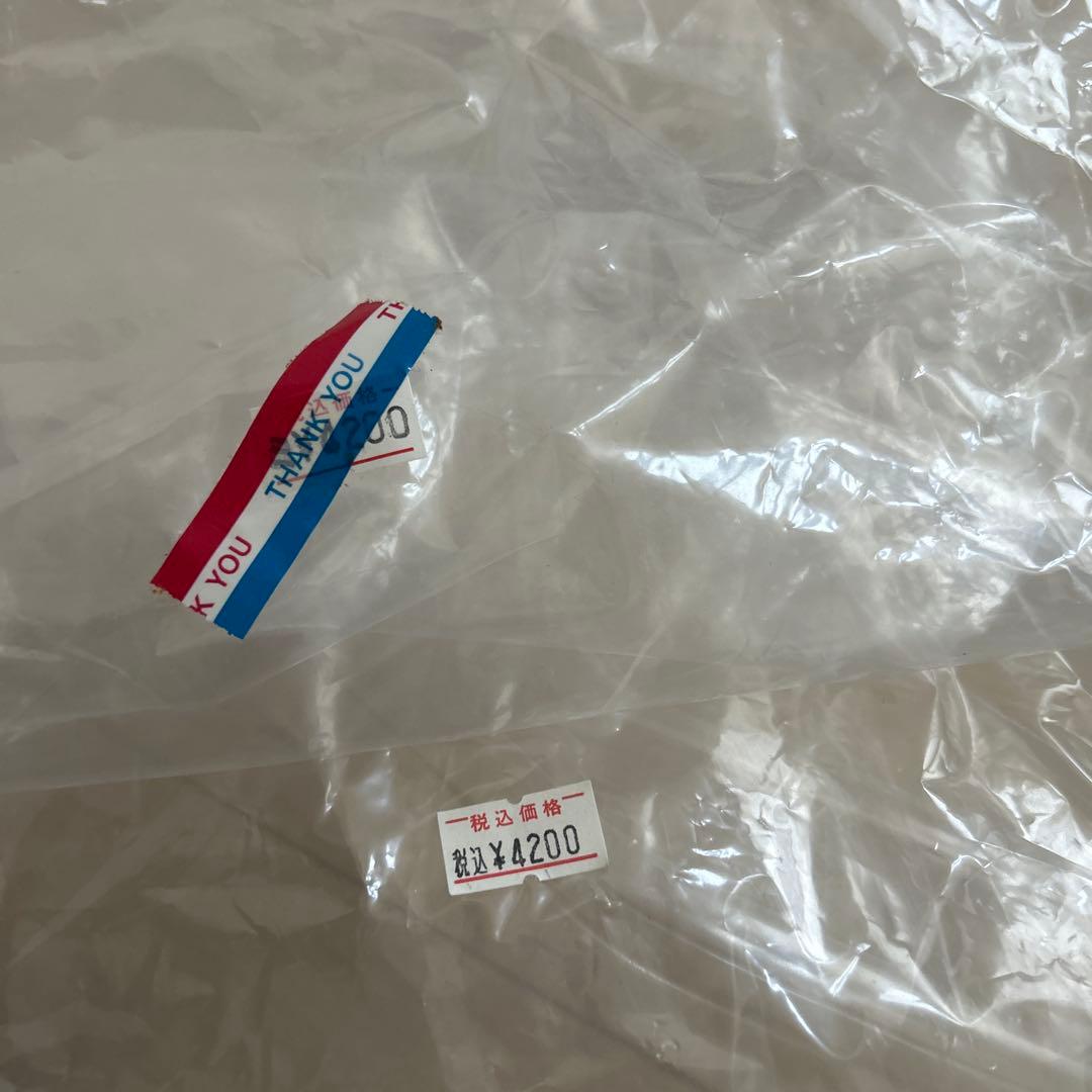 s*s様 ラジコンカー ボディ 2個セット 塗料付き