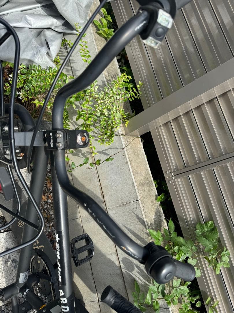 春セール【ファットバイク】BRONX 20インチ