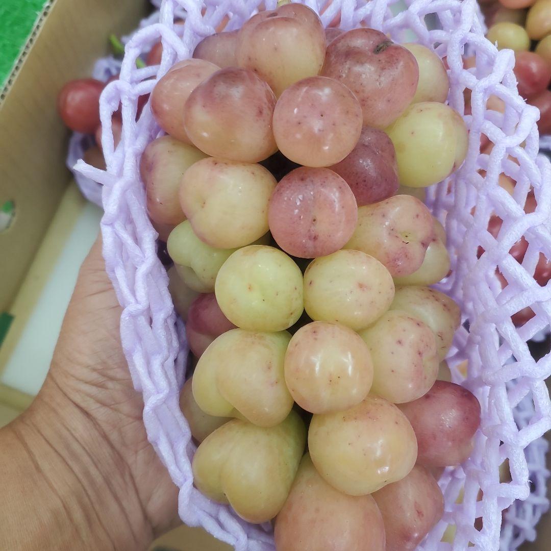 2️⃣ 山梨県産 マイハート ７房入り 箱込み5.4キロ