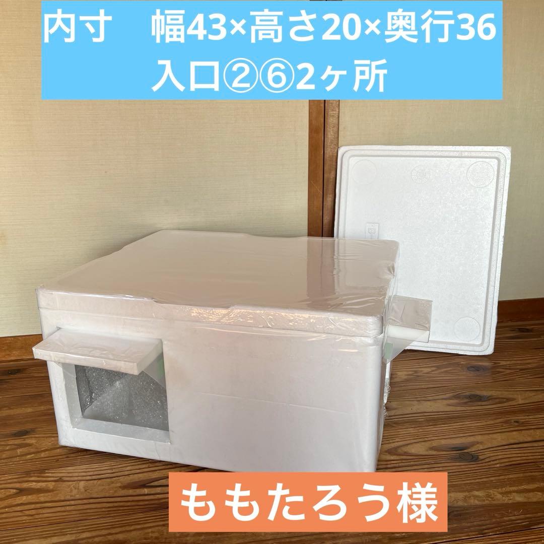 猫　発泡　ハウス　67