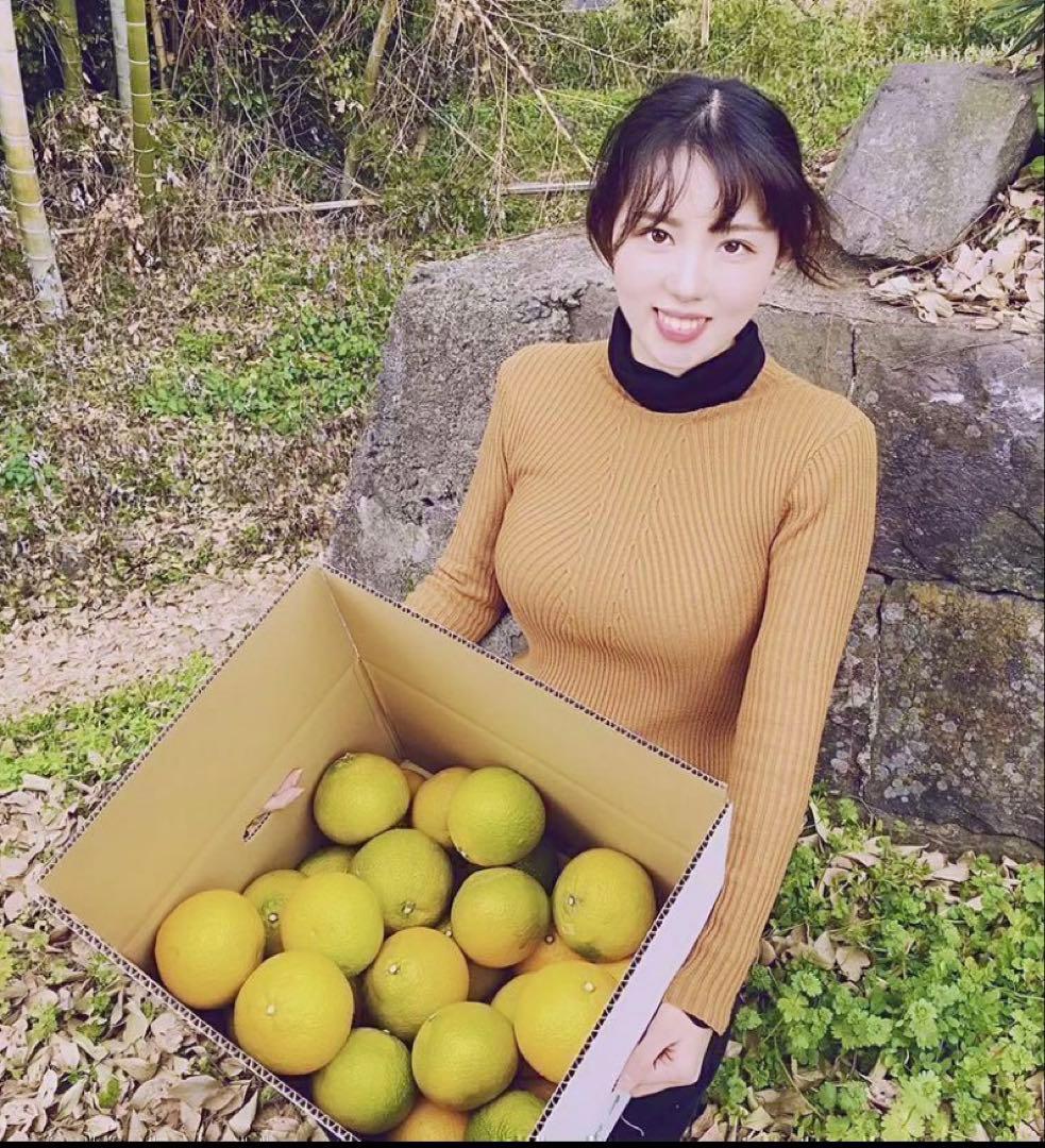 味にハズレなし！見た目を裏切る美味しさ【熊本産スイートスプリングMサイズ約20k