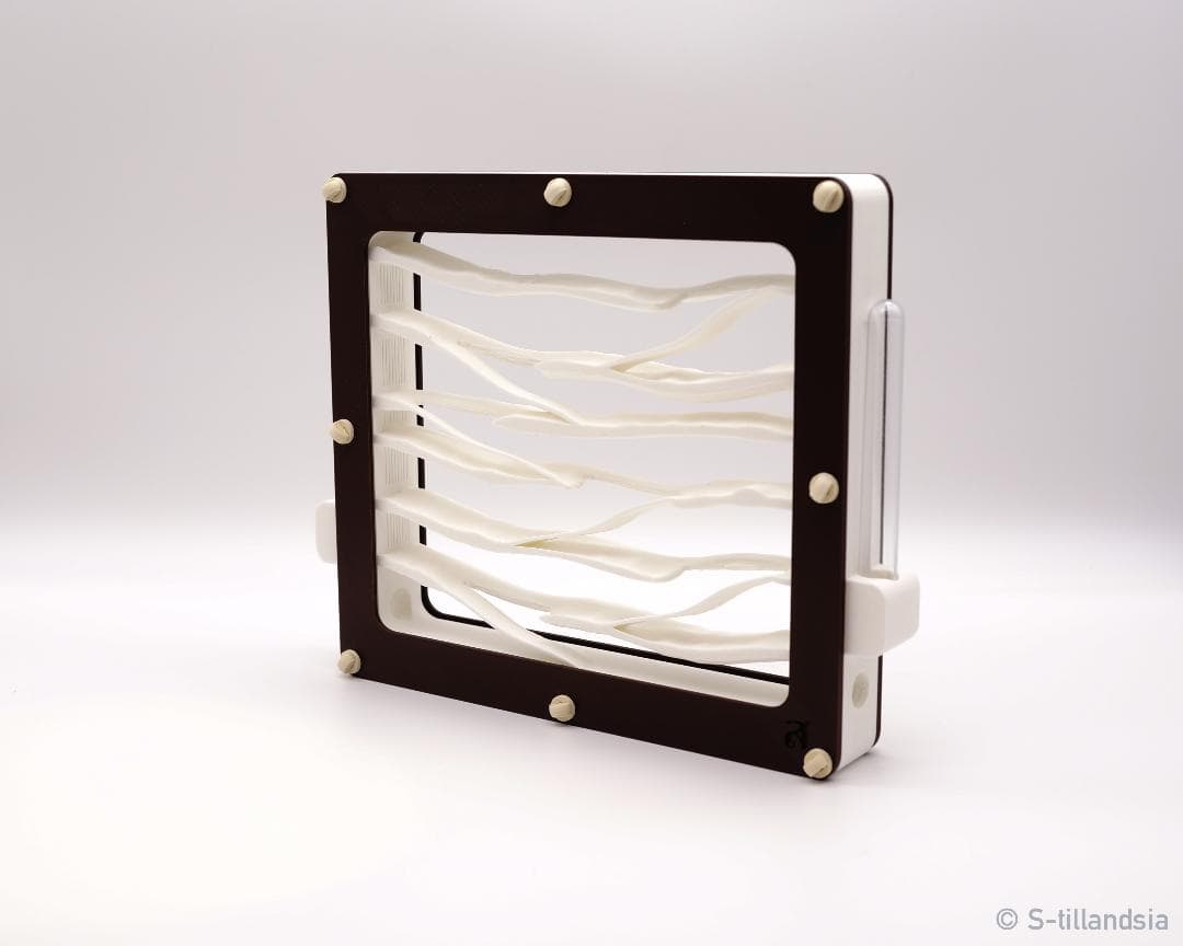 Hybrid Nest 2 side large ・ガラスアリ飼育ケース