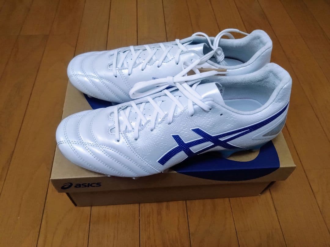 【新品】アシックス☆DSライト プロ☆DS LIGHT PRO　x-fly