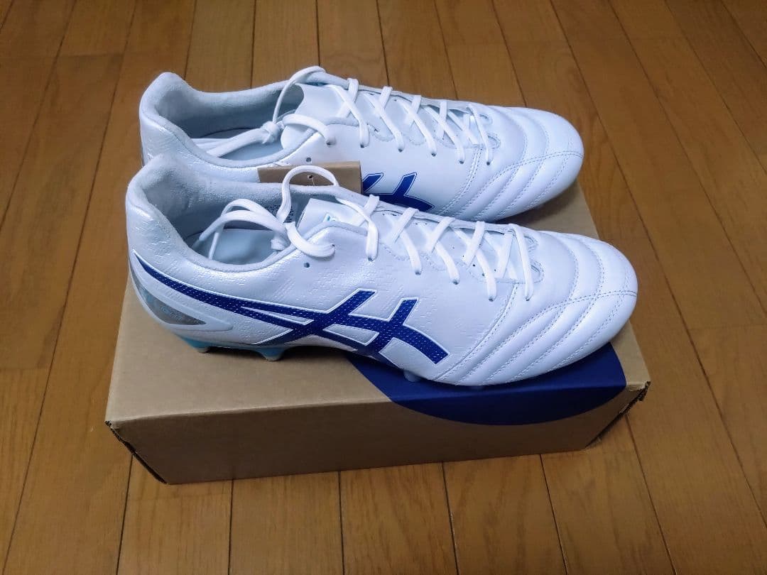 【新品】アシックス☆DSライト プロ☆DS LIGHT PRO　x-fly