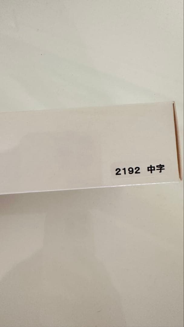 PLATINUM プラチナ 万年筆 #3776 西 sai センチュリー　中字