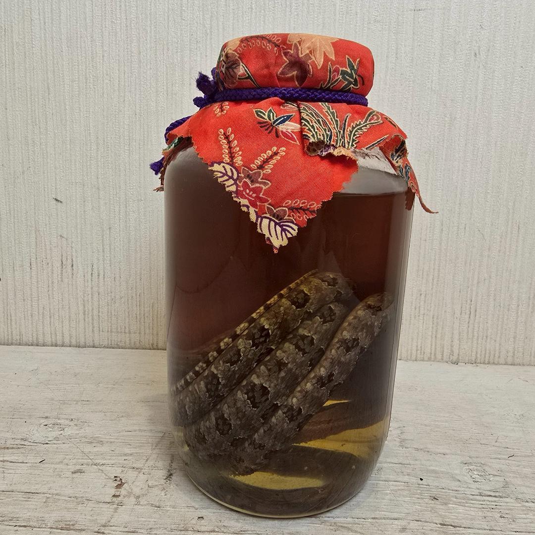 【新品】 うるま ハブ酒 強精酒 ラム酒漬け 5年熟成 40度 1500ml