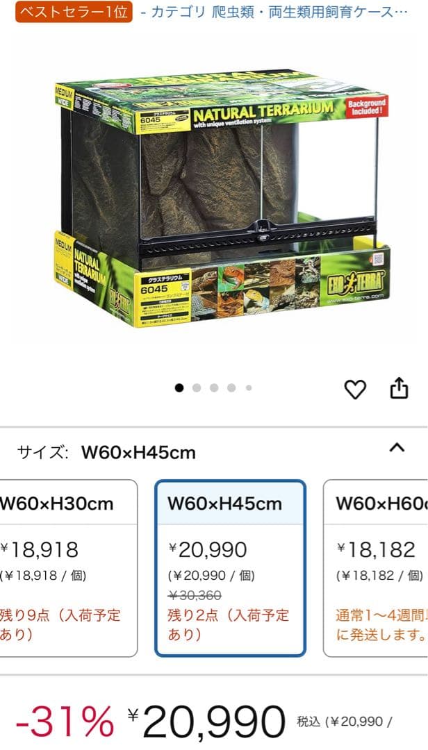 爬虫類飼育セットリクガメフトアゴガラスケージ60.5cm45.5cm32.5cm