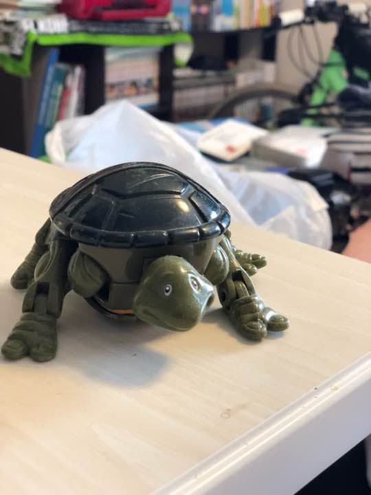 ミュータントタートルズ