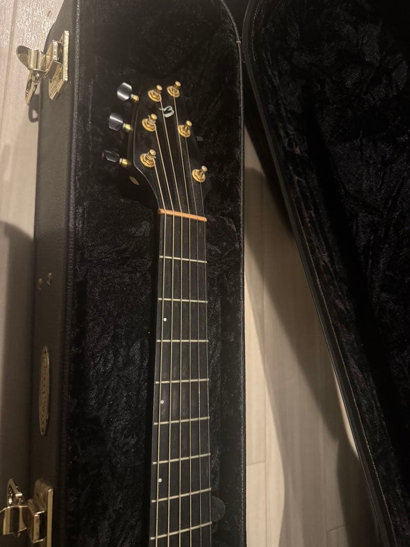 ギター breedlove American c25