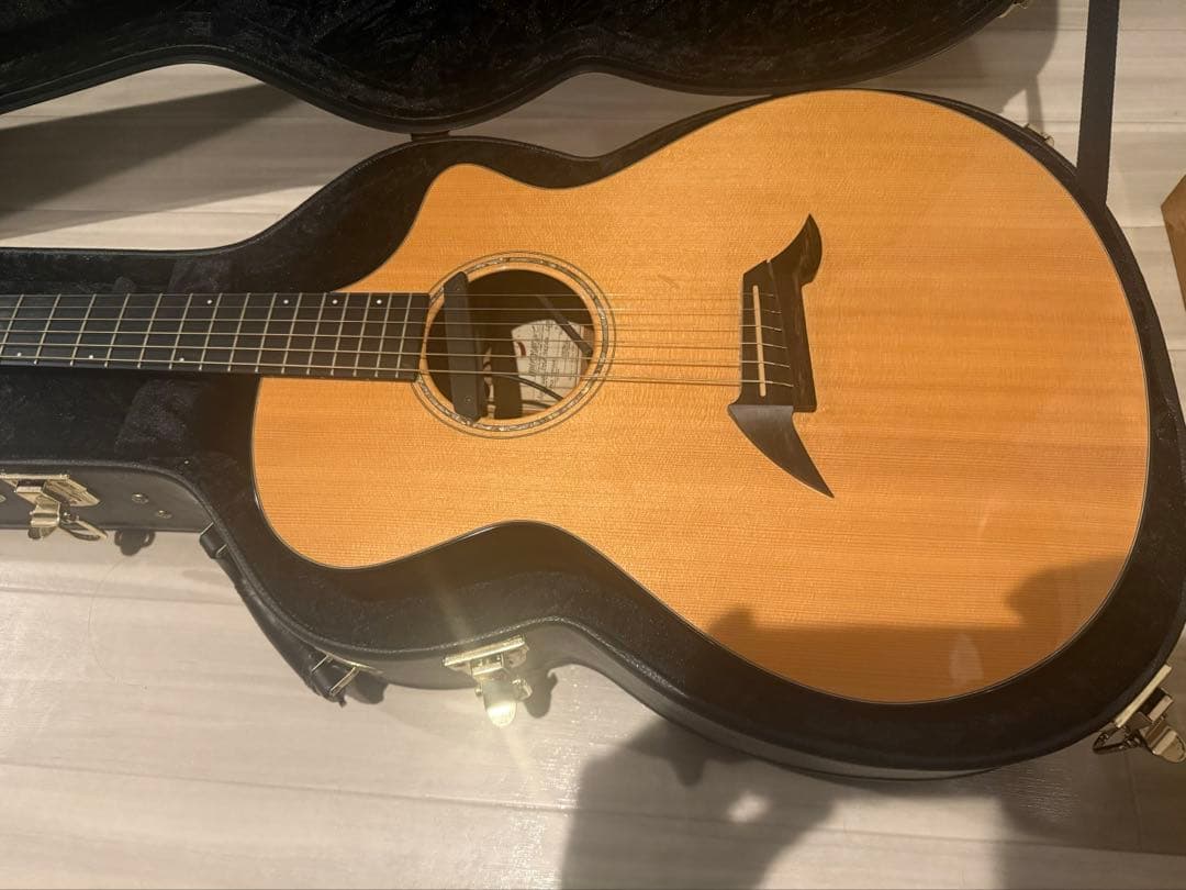 ギター breedlove American c25