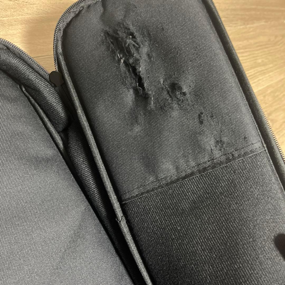 SCHECTER SD-2-24-AS/M 最終値下げ