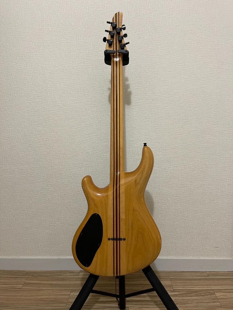 【HAL】Mayones regius6 ケース2種