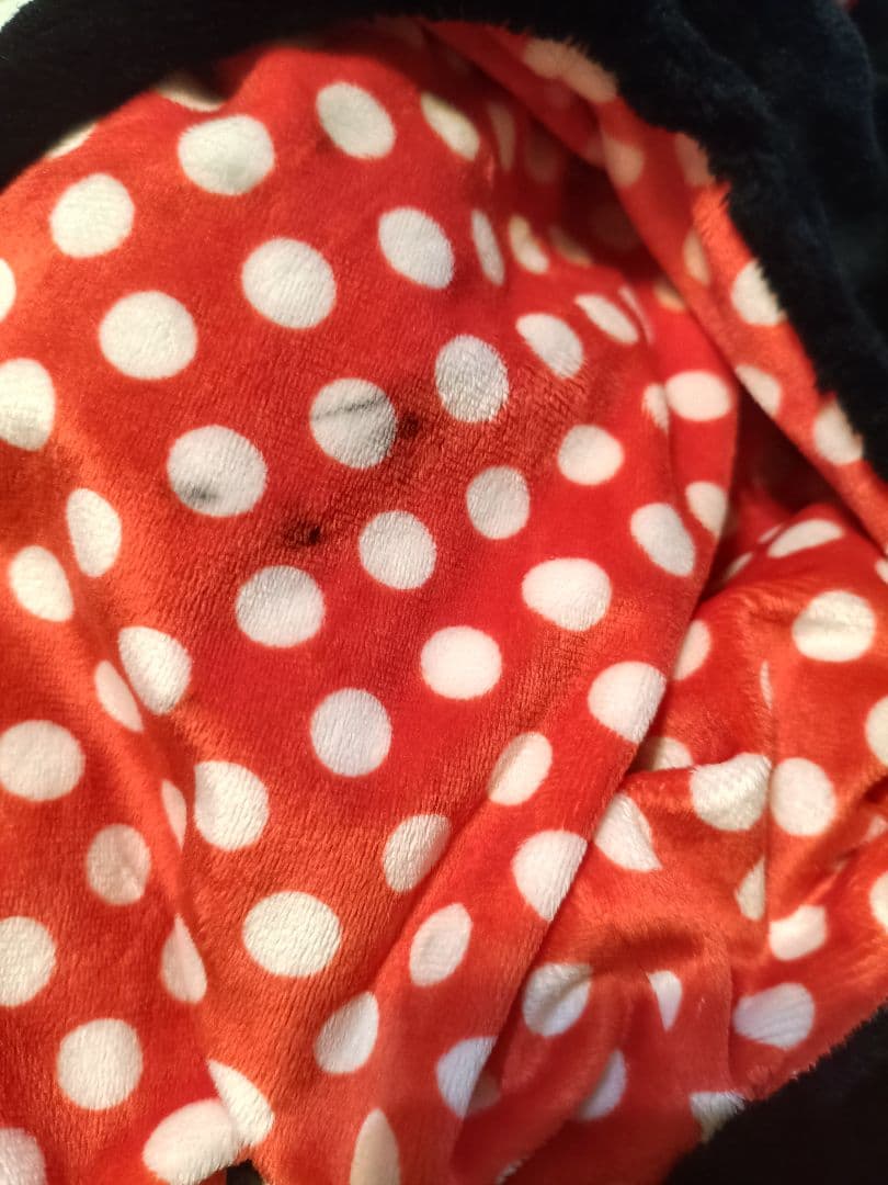 ディズニー ミニー マフラーキャップ