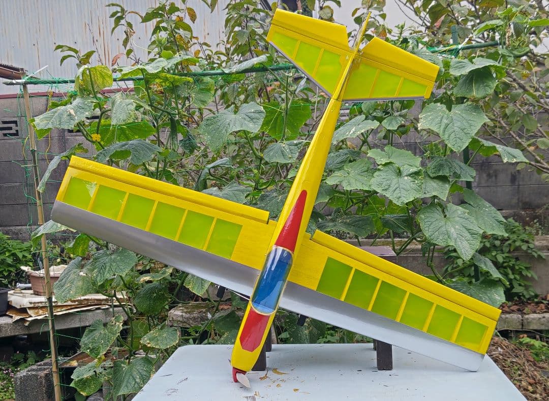 ラジコン飛行機（電動機）