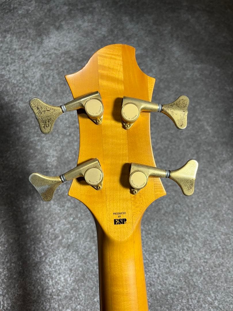 【tomo】EDWARDS E-T-98EL ラルクTETUYAモデル