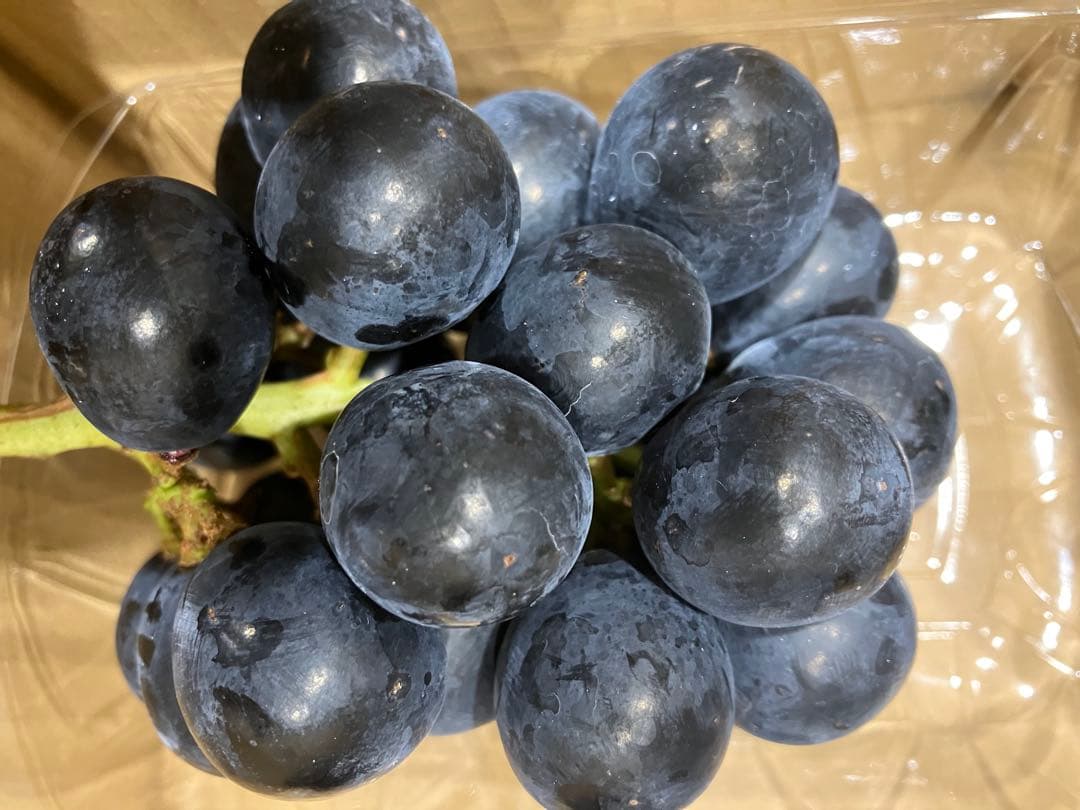 信州産　長野パープルおまとめセット六ふさ おまけ黄色の桃