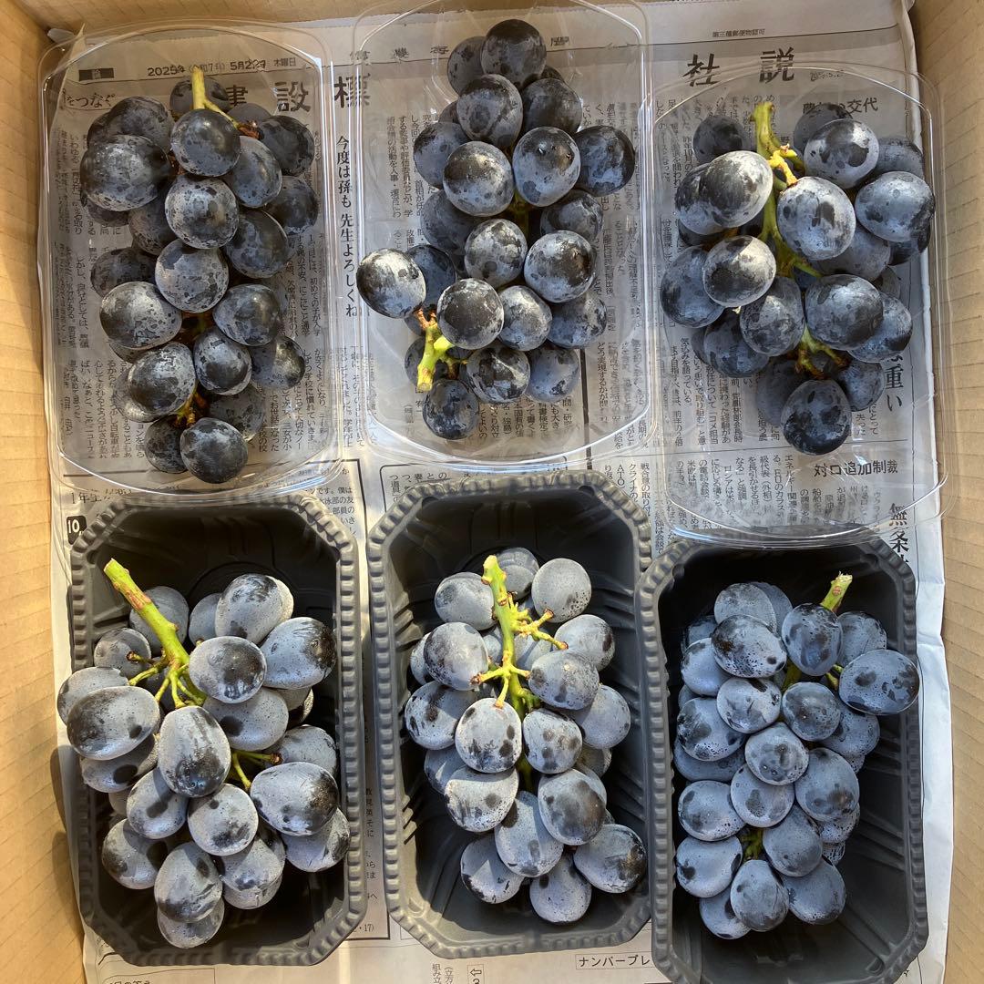 信州産　長野パープルおまとめセット六ふさ おまけ黄色の桃