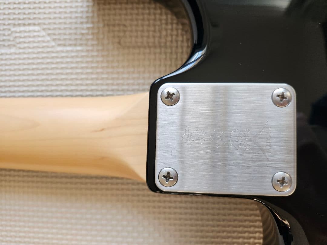 ※※※最終価格※※※　　Fujigen NST20RAL BLK フジゲン