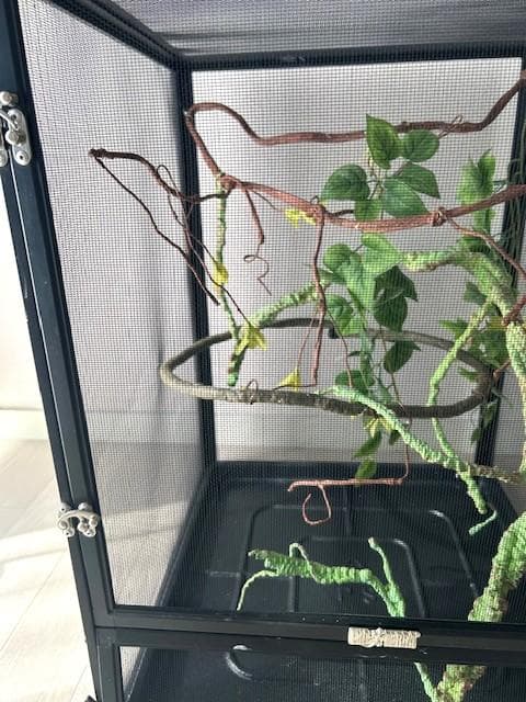 カメレオンケージ GEXエキゾテラ 　メッシュケージ　4個セット