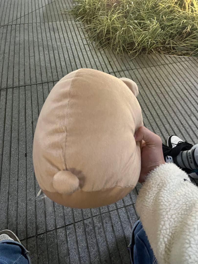 すみっこぐらし　ぬいぐるみ