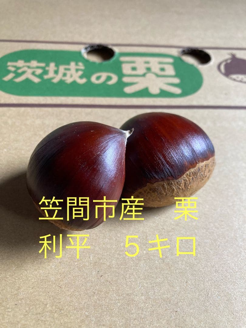 みそさん専用　利平　５キロ