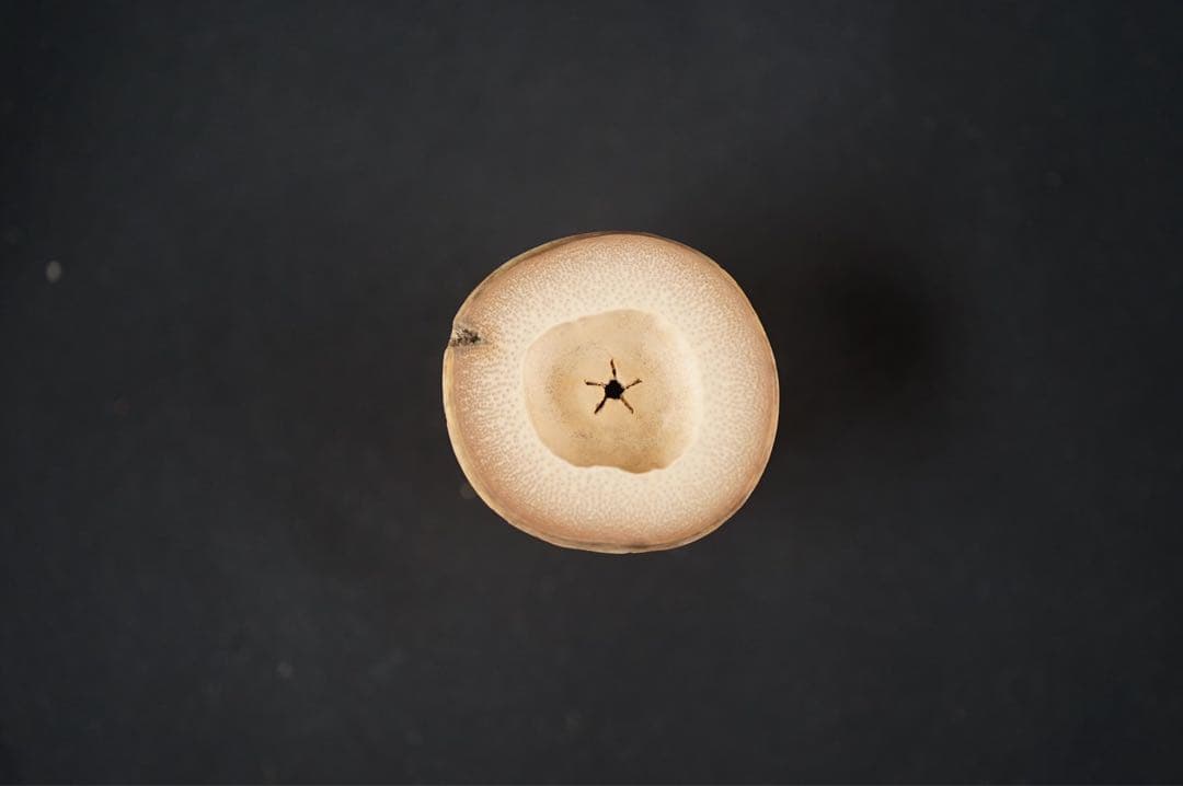 竹蓋置 一双 柳生の里竹使用 「大徳寺 柳生紹尚 書付」 共箱 紙箱 茶道具