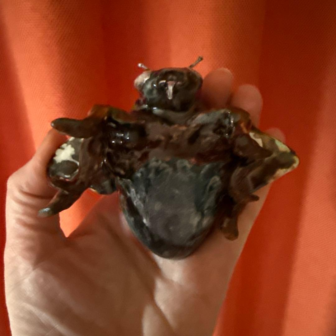 リアルな昆虫標本 手のひらサイズ