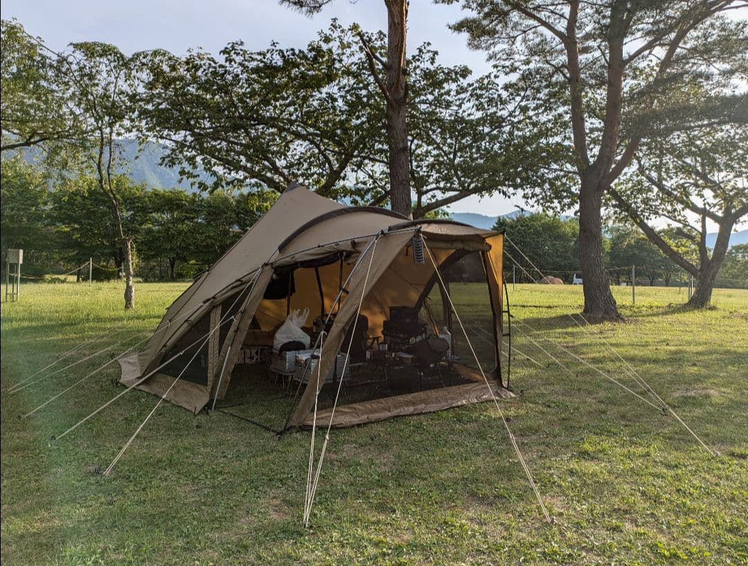 ゼインアーツ ロロM 中古美品