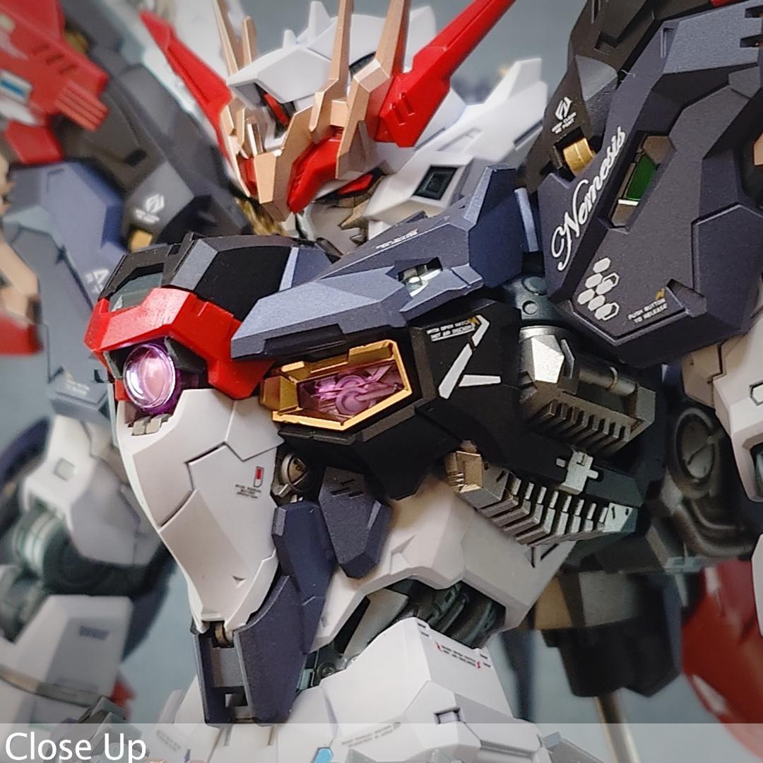 1/100 Infinite Dimension \"NEMESIS\" 完成品