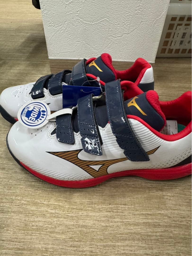 トレーニングシューズ MIZUNO ミズノ 品番　11GT2220142 25㎝