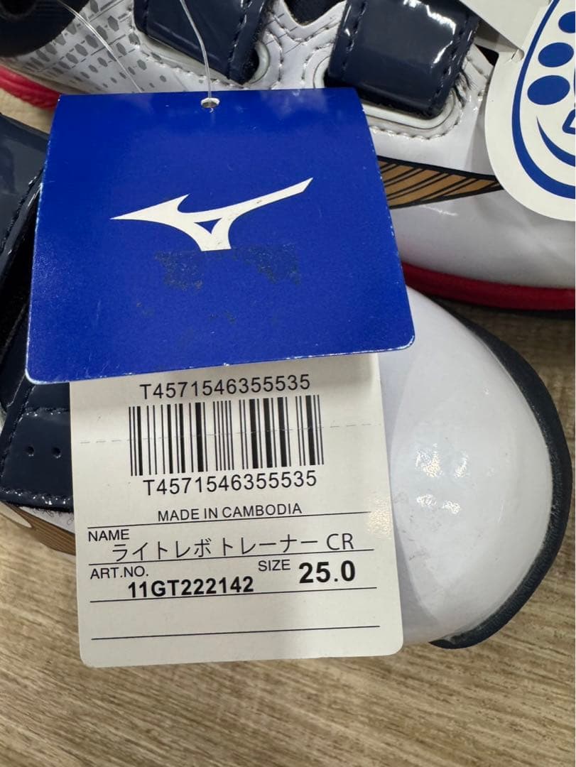 トレーニングシューズ MIZUNO ミズノ 品番　11GT2220142 25㎝